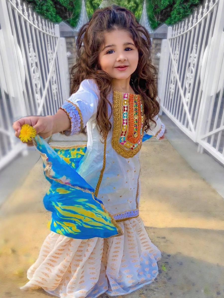 Bengali Girl fancy Dress for kids,Indian State Traditional Wear Costume for  Annual function/Theme party/Competition/Stage Shows/Birthday Party Dress